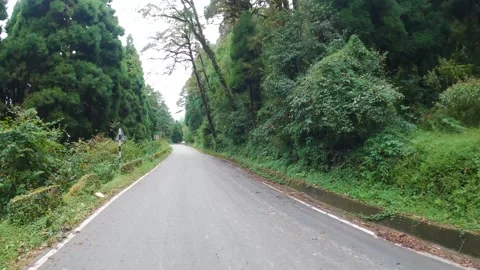 Cloudy Mountain Road Through Green Forest in Darjeeling | Scenic Hill Road Drive Stock Footage 324397517