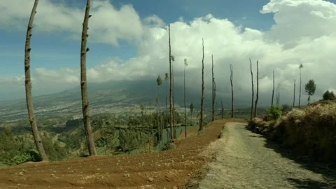 Cloudy mountain Sindoro views, with leafless trees, footpath, and fields  Stockbeeldmateriaal 152789876