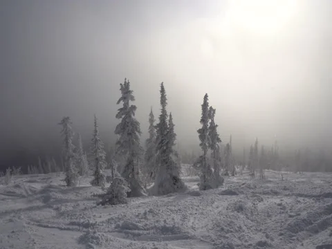 On cloudy mountain slope Video stock 70925787