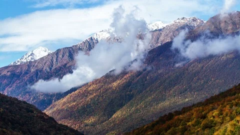 Cloudy mountains landscape with autumn forest at sunset. Time lapse Video stock 83280579