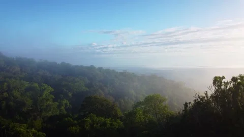 Cloudy Mountains Revealed Behind Trees Stock Footage 171453317