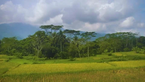 Cloudy Mountains with Trees View from Moving Train Stock Footage 280377004