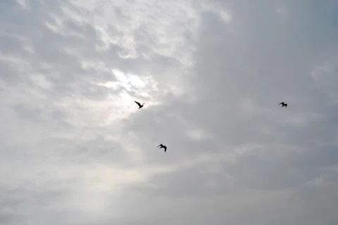 Cloudy nice sky at midday with sun bright Stock Photos