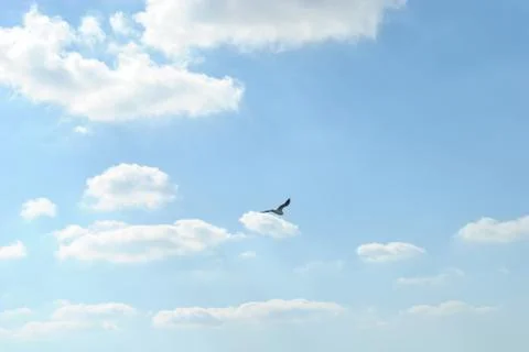 Cloudy nice sky at midday with sun bright Stock Photos