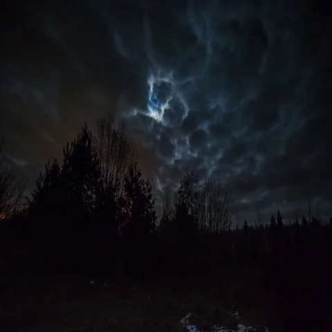 Cloudy night and full moon over forest.  Stock Footage 69670966
