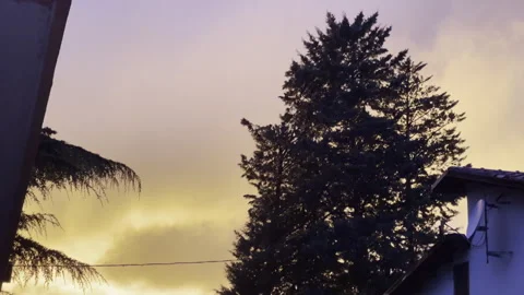 Cloudy orange sky after strong thunderstorm, countryside houses and high pine Stock Footage 313341006