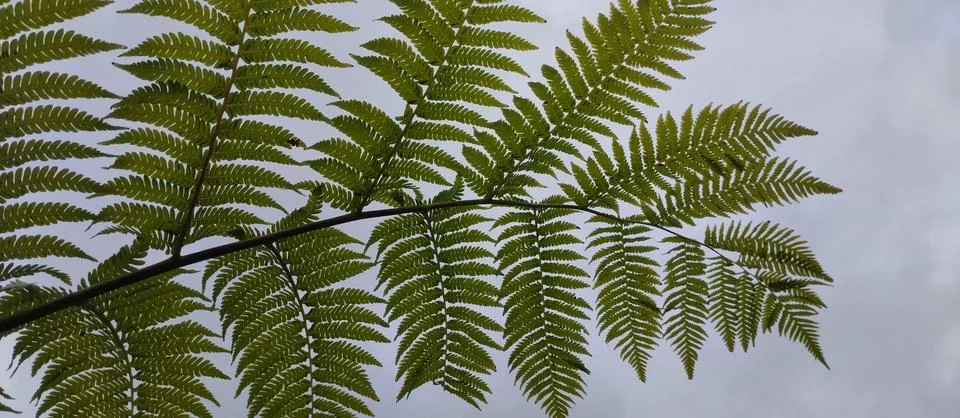 Cloudy Perspective Stock Photos