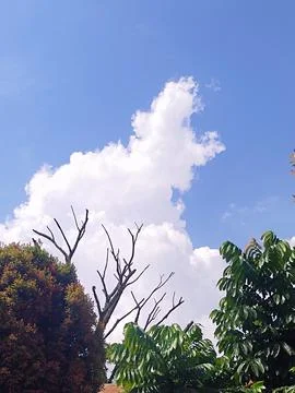 Cloudy Foto stock
