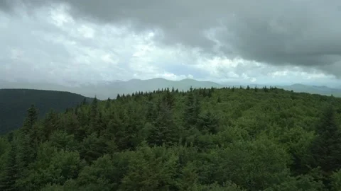 Cloudy pine hill Stockbeeldmateriaal 171342590