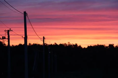Cloudy pink-blue sunset over dark forest silhouettes, top view. Evening view. Stock Photos