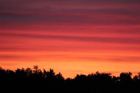 Cloudy pink-blue sunset over dark forest silhouettes, top view. Evening view. Stock Photos