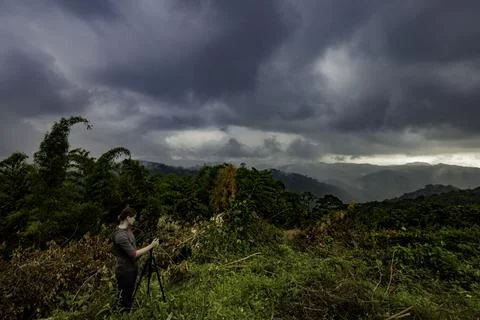 Cloudy Rainforest Mountain Stock Photos
