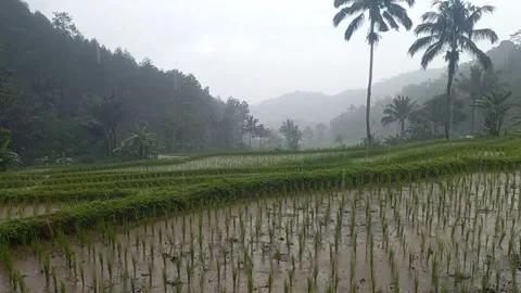 Cloudy Rainy Day Stock Footage 279878016