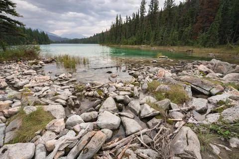 Cloudy, rainy day on the Valley of the five lakes trail, Jasper National Park Stock Photos