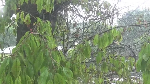 Cloudy rainy weather in Ukraine Stock Footage 312675111