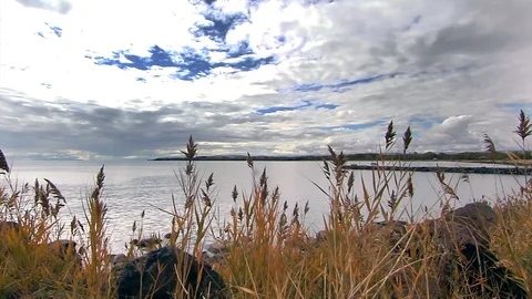 Cloudy Sea Through Reeds 動画素材 124377733