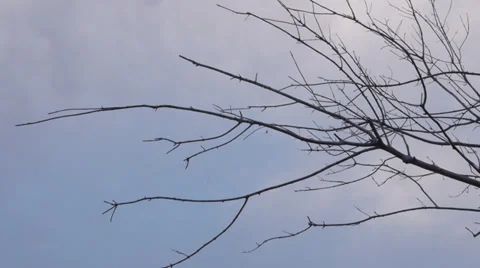 Cloudy skies 1 Stock Footage 31269464