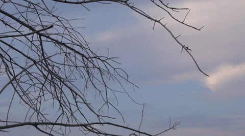 Cloudy skies 2 Stock Footage 31268576