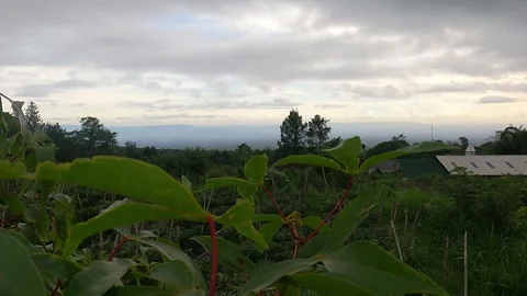 Cloudy Skies Over Mount Merapi Slope – Wide Mountain Panorama Indonesia Stock Footage 321323002