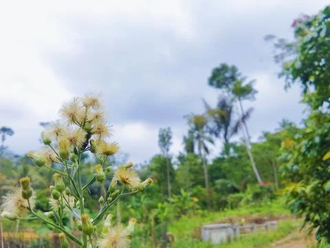 Cloudy skies Foto stock