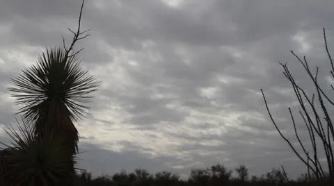 CLOUDY SKY 01 1080 Stock Footage 23691595