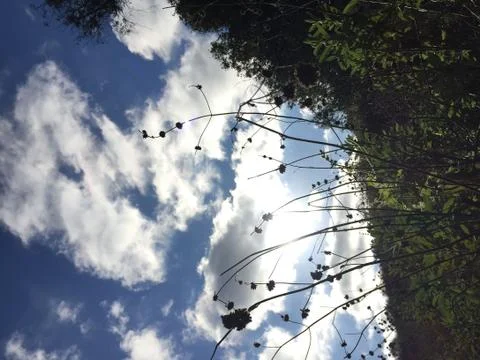 Cloudy Sky 1 Stock Photos