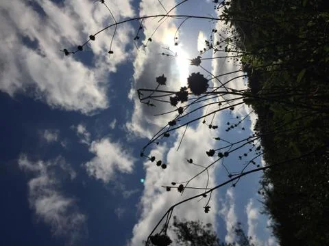 Cloudy Sky 3 Stock Photos