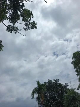 Cloudy Sky Above Forest Canopy Nature Landscape Sky Weather Environment For Stock Photos