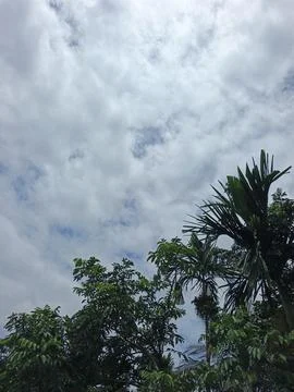 Cloudy Sky Above Forest Canopy Nature Landscape Sky Weather Environment For Stock-Fotos