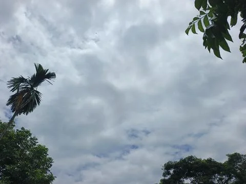 Cloudy Sky Above Forest Canopy Nature Landscape Sky Weather Environment For Stock-Fotos