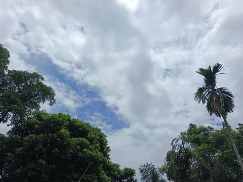 Cloudy Sky Above Forest Canopy Nature Landscape Sky Weather Environment For Stock Photos