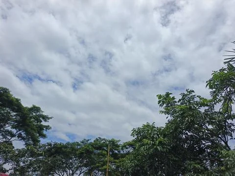Cloudy Sky Above Forest Canopy Nature Landscape Sky Weather Environment For Stock Photos