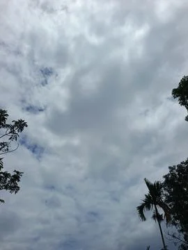 Cloudy Sky Above Forest Canopy Nature Landscape Sky Weather Environment For Stock Photos
