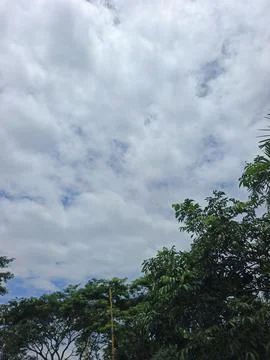 Cloudy Sky Above Forest Canopy Nature Landscape Sky Weather Environment For Stock Photos