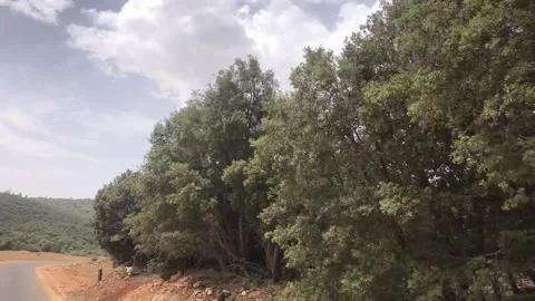 Cloudy Sky Above Khenifra Forest Hills Morocco Nature Landscape Vídeo Stock 334063058