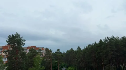 Cloudy sky above pine forest and apartment buildings Stock Footage 336545772