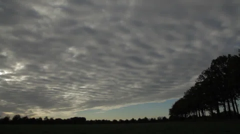 Cloudy sky above trees, Locked Down Shot Stock Footage 39432022
