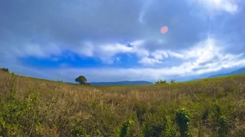 Cloudy sky and field Stock Footage 46059298