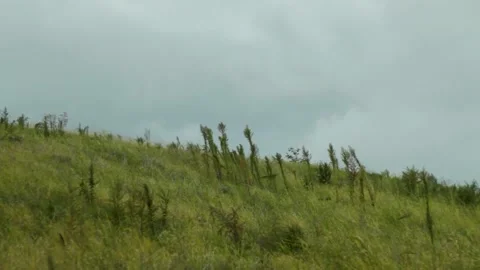 Cloudy Sky and Field Stock Footage 301573975