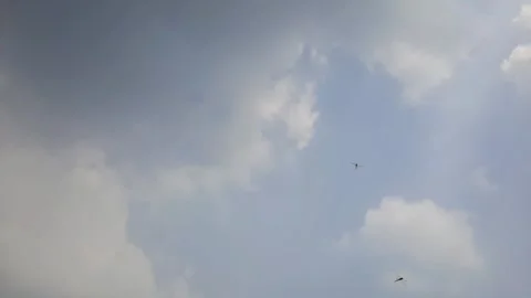 Cloudy sky and a flock of dragonflies flying Stock Footage 314032428