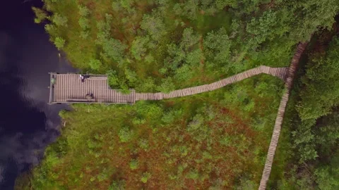 Cloudy Sky and Forest with Wooden Platform in Gradual Upward Motion Stock Footage 315779248