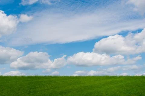 Cloudy sky and green grass in nature concept Stock Illustration