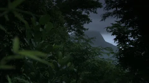 Cloudy Sky and Mountain Through Leaves, Tijuca Brazil HD Video Stock Footage 22146746