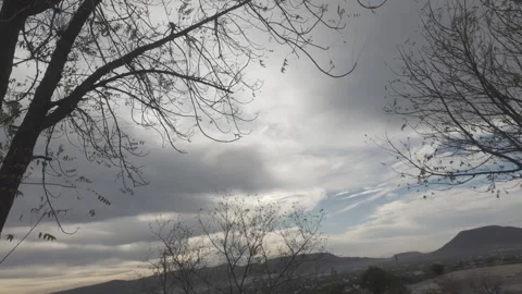 Cloudy Sky and Moving Leaves Stock Footage 321445262