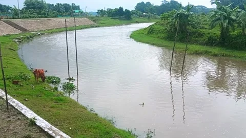 Cloudy Sky and River Water Waves in Natural Bangladesh River Landscape, pure nat 動画素材 316065924