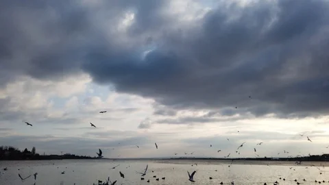 Cloudy sky and seascape in the evening, seagulls flying in the sky Stock Footage 129099730