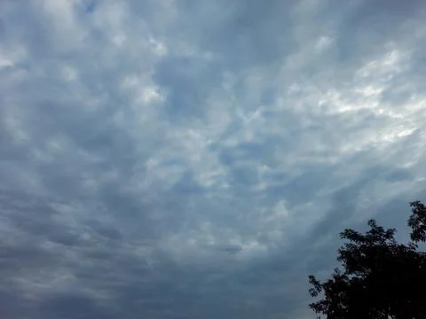Cloudy sky and silhouette of trees Stock Photos