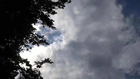 The Cloudy Sky And The Sun Through Branches Stock Footage 92044937