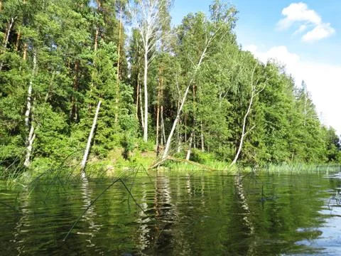 Cloudy Sky and Trees Forrest Reflection at Water Surface Foto stock