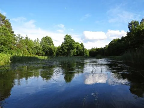 Cloudy Sky and Trees Forrest Reflection at Water Surface Stock Photos